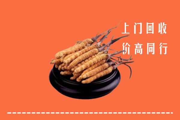 高价求购：芝罘区回收散虫草
