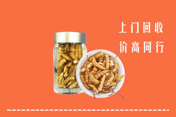 芝罘区回收冬虫夏草