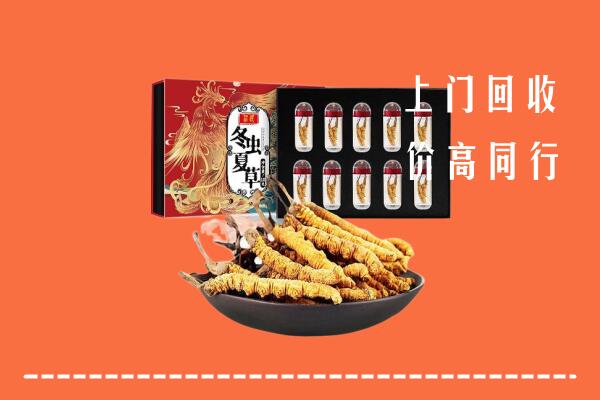 芝罘区回收虫草